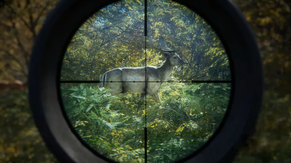 theHunter Call of the Wild Torrent